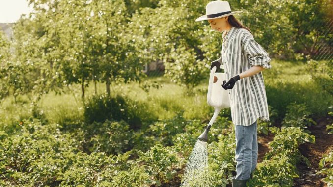 garden watering