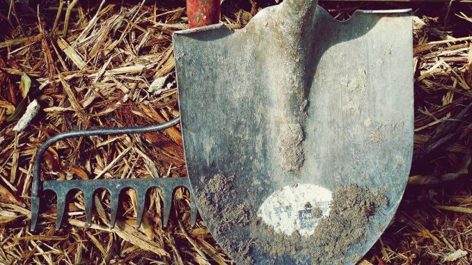shovel-rake garden