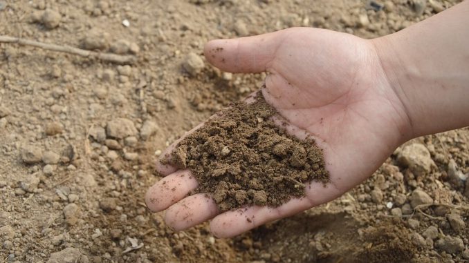soil
