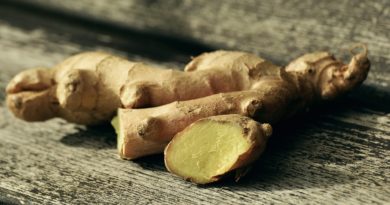 Ginger Root Heals Ailments