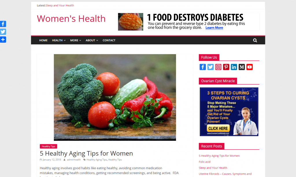 Dfy health niche blog 21