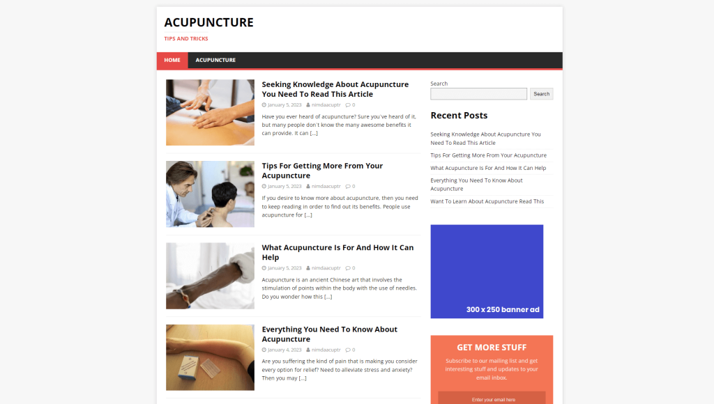 dfy Acupuncture niche blog