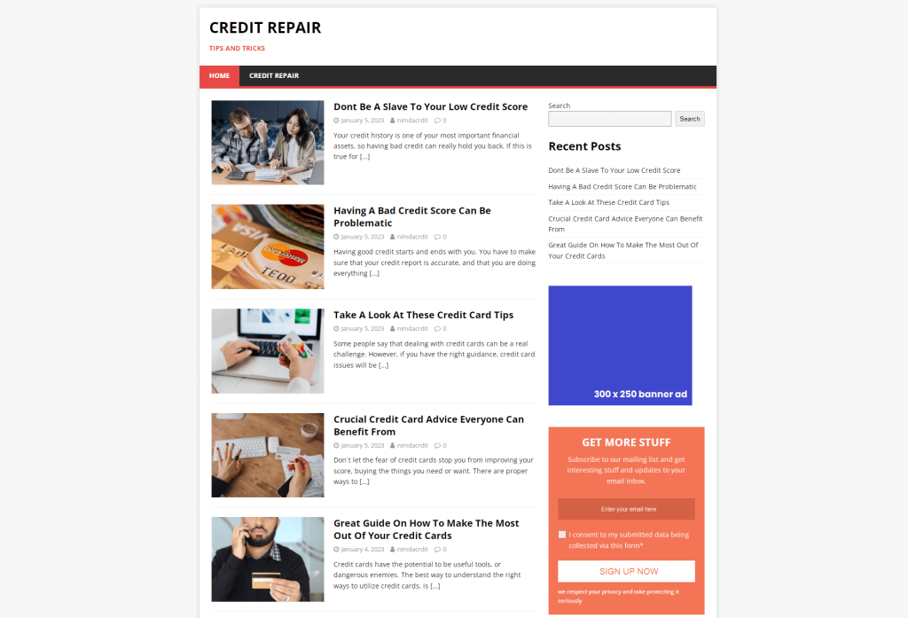 dfy Credit Repair niche blog